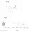 Fig. 06 - Fluid handling structure, a lithographic apparatus and a device manufacturing method