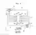 Fig. 04 - Exposure apparatus, exposure method, and method for producing device