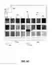 Fig. 07 - SCANNING PATCHES TO PROVIDE PRINTER CALIBRATION DATA