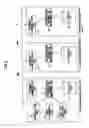 Fig. 03 - IMAGE FORMATION MANAGEMENT SYSTEM, IMAGE FORMATION MANAGEMENT METHOD, AND STORAGE MEDIUM