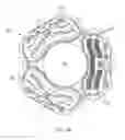 Fig. 06 - Rotational comb drive Z-stage