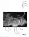 Fig. 04 - CHRISTMAS TREE SCENE SYSTEMS