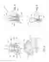 Fig. 03 - Wedge-base bulb socket and automotive light for motor vehicles and similar provided with said socket