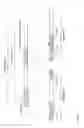 Fig. 04 - Testing packet fragmentation
