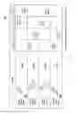 Fig. 18 - PLACEMENT OF GATEWAYS NEAR SERVICE BEAMS