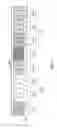 Fig. 12 - Base station apparatus and communication method
