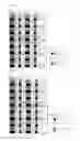 Fig. 07 - Method and apparatus for transmitting reference signal for reducing inter-cell interference in multiple input multiple output communication system