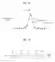 Fig. 45 - Digital broadcasting system and data processing method