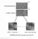 Fig. 01 - INSPECTION APPARATUS, INSPECTION METHOD, AND STORAGE MEDIUM