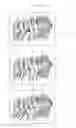 Fig. 07 - Method for acquiring a three-dimensional image of a set of teeth