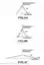 Fig. 06 - Method and system for dot-matrix font data compression and decompression