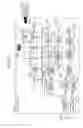Fig. 23 - Image processing device and method