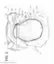 Fig. 06 - Bag with cover