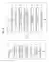 Fig. 05 - Apparatus and method for generating digital cinema content and apparatus and method for playing digital cinema content