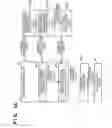 Fig. 02 - Image forming apparatus