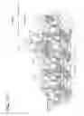 Fig. 12 - Developing cartridge and process unit