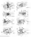 Fig. 04 - Brush, in particular toothbrush, and associated production method