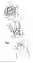 Fig. 03 - MASSAGE DEVICE, IN PARTICULAR FOR THE SCALP