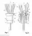 Fig. 06 - MASSAGE DEVICE, IN PARTICULAR FOR THE SCALP