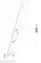 Fig. 04 - Screed die adjustable line thickness