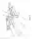 Fig. 08 - Rollback carrier gravity tilt dampening system