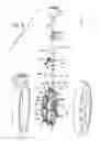 Fig. 11 - Removable throat mounted inlet guide vane