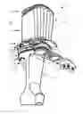 Fig. 01 - Rotor for a turbo machine
