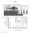 Fig. 07 - MICROFLUIDIC DEVICES FOR RELIABLE ON-CHIP INCUBATION OF DROPLETS IN DELAY LINES