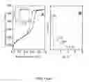 Fig. 02 - Mesoporous carbon materials