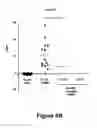 Fig. 08 - B cell surface reactive antibodies