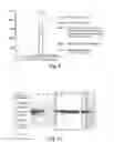 Fig. 08 - METHODS AND COMPOSITIONS FOR CELL-PROLIFERATION-RELATED DISORDERS
