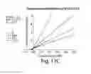 Fig. 16 - METHODS AND COMPOSITIONS FOR CELL-PROLIFERATION-RELATED DISORDERS