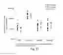 Fig. 48 - METHODS AND COMPOSITIONS FOR CELL-PROLIFERATION-RELATED DISORDERS