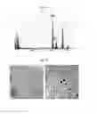 Fig. 05 - Biodegradable and thermosensitive poly(organophosphazene)-superparamagnetic nanoparticle complex, preparation method and use thereof