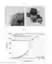 Fig. 07 - Biodegradable and thermosensitive poly(organophosphazene)-superparamagnetic nanoparticle complex, preparation method and use thereof