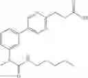 Fig. 15 - Biaromatic compounds that modulate PPARy type receptors and cosmetic/pharmaceutical compositions comprised thereof