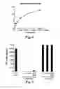 Fig. 05 - Nucleic acid ligands to LL37