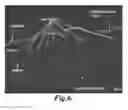 Fig. 06 - Nucleic acid ligands to LL37