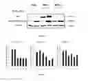 Fig. 05 - Compositions and methods for glucose transport inhibition