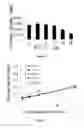 Fig. 07 - Compositions and methods for glucose transport inhibition