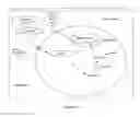 Fig. 11 - Compositions and methods for glucose transport inhibition