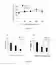 Fig. 22 - Compositions and methods for glucose transport inhibition