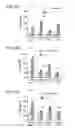 Fig. 08 - Programming of cells for tolerogenic therapies