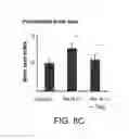 Fig. 13 - Programming of cells for tolerogenic therapies