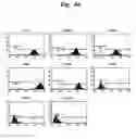 Fig. 14 - Pharmaceutical Composition For Bone Disease Treatment Or Countering Inflammation, Comprising Cartilage Stem Cells As An Active Principle