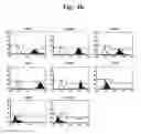 Fig. 15 - Pharmaceutical Composition For Bone Disease Treatment Or Countering Inflammation, Comprising Cartilage Stem Cells As An Active Principle
