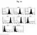 Fig. 16 - Pharmaceutical Composition For Bone Disease Treatment Or Countering Inflammation, Comprising Cartilage Stem Cells As An Active Principle