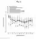 Fig. 29 - Pharmaceutical Composition For Bone Disease Treatment Or Countering Inflammation, Comprising Cartilage Stem Cells As An Active Principle