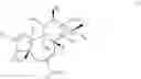 Fig. 05 - Method of Producing Progenitor Cells from Differentiated Cells
