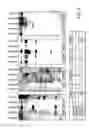 Fig. 11 - INDUCED PLURIPOTENT STEM CELLS AND METHODS OF USE